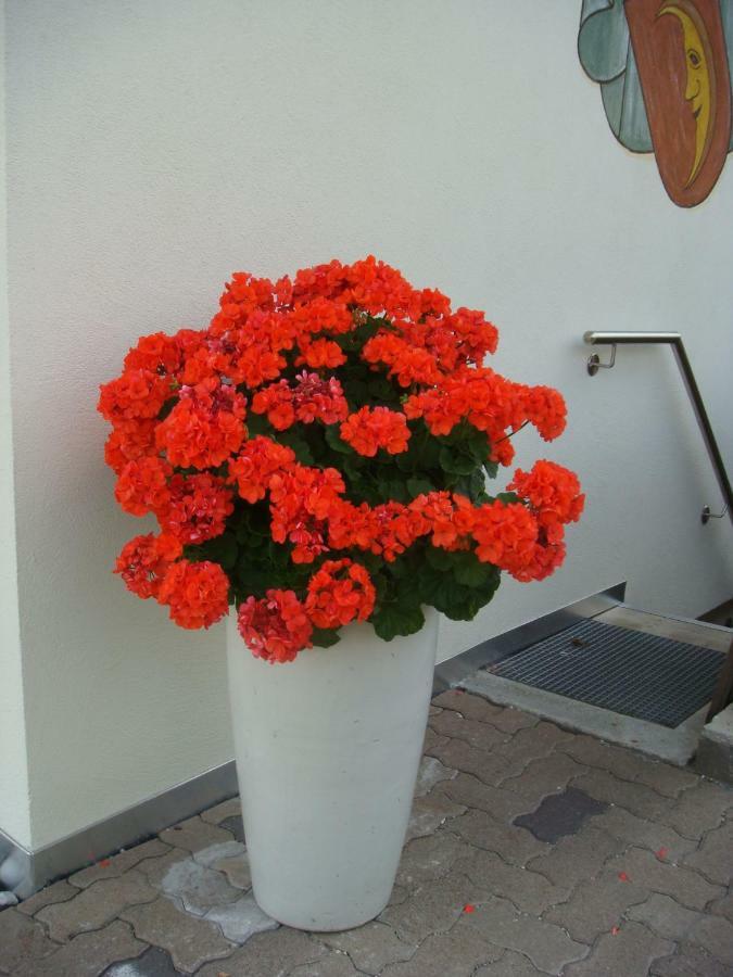 B&B Haus Gruener Olang Exteriör bild
